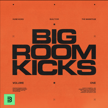 Cover art for 'Big Room Kicks'